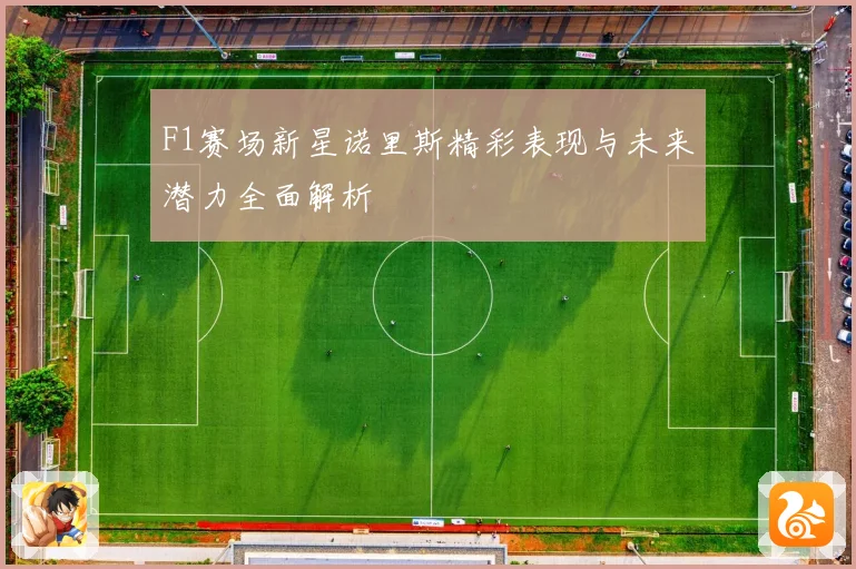 F1赛场新星诺里斯精彩表现与未来潜力全面解析