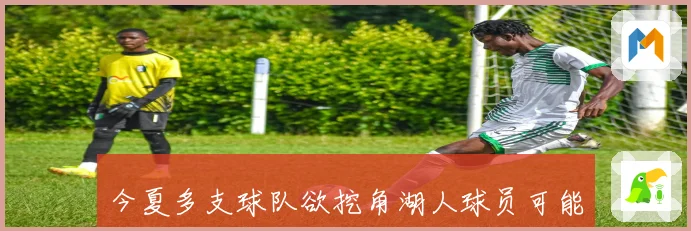 今夏多支球队欲挖角湖人球员可能为里夫斯开出顶薪级短期合同赛场复盘