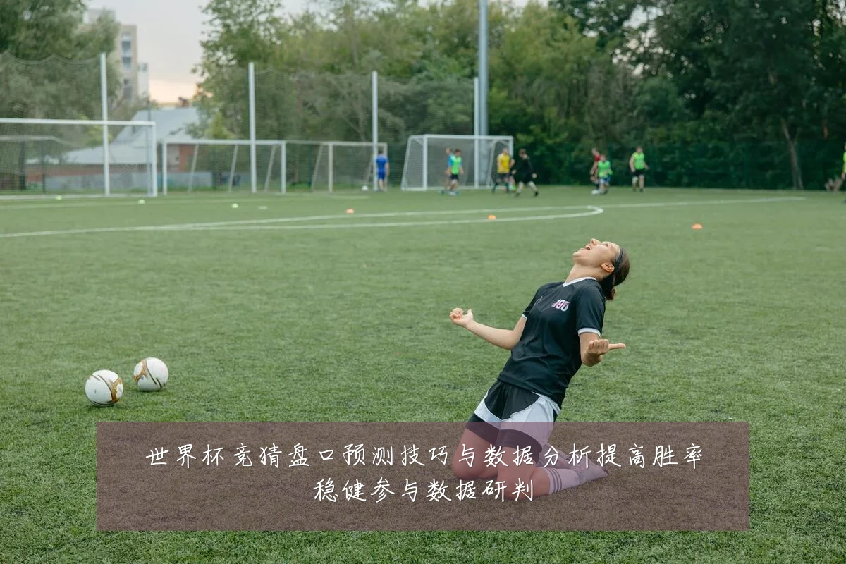 世界杯竞猜盘口预测技巧与数据分析提高胜率稳健参与数据研判